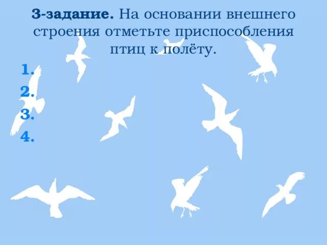 Приспособления птиц к полету. На основании внешнего строения отметить приспособления птиц к полёту. Приспособления птиц к полету во внешнем строении. На основании внешнего строения отметьте приспособления птиц к полёту.