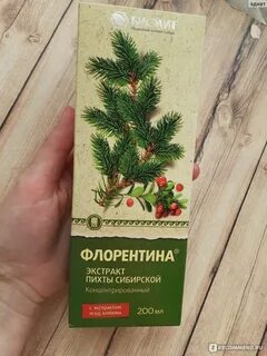 Экстракт пихты для приема внутрь