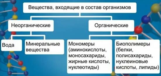 Биополимерами среди перечисленных веществ являются. Неорганические вещества в организме. органические и неорганические вещества в организме человека. мономеры органических веществ. неорганические соединения входящие в состав организма человека.