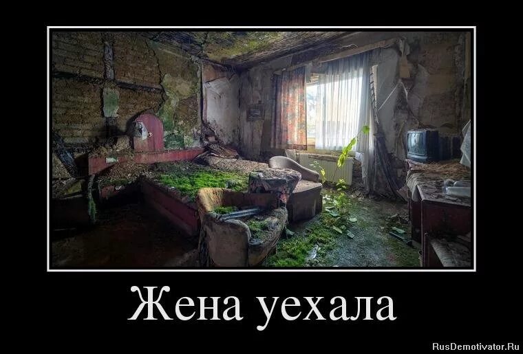 когда жена уехала в отпуск. женщину с детьми выгоняют из квартиры. жена и дети. анекдоты про жена уехала в командировку.