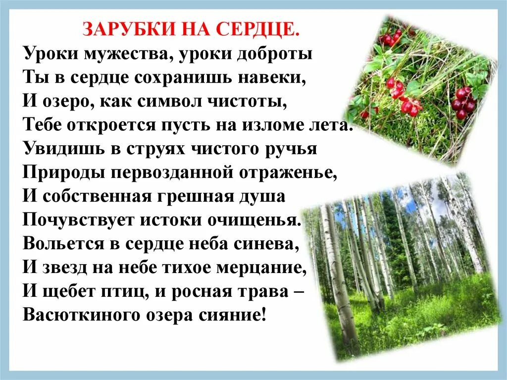 Васюткино озеро зарубка. Васюткино озеро уроки Мужества. Астафьев в. "Васюткино озеро". Зарубки на сердце. Васюткино озеро презентация к уроку