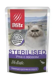 Влажный корм холистик для кошек