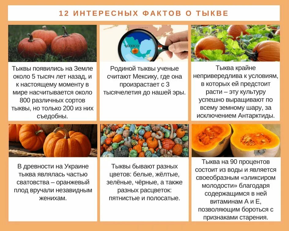 Со скольки можно тыкву