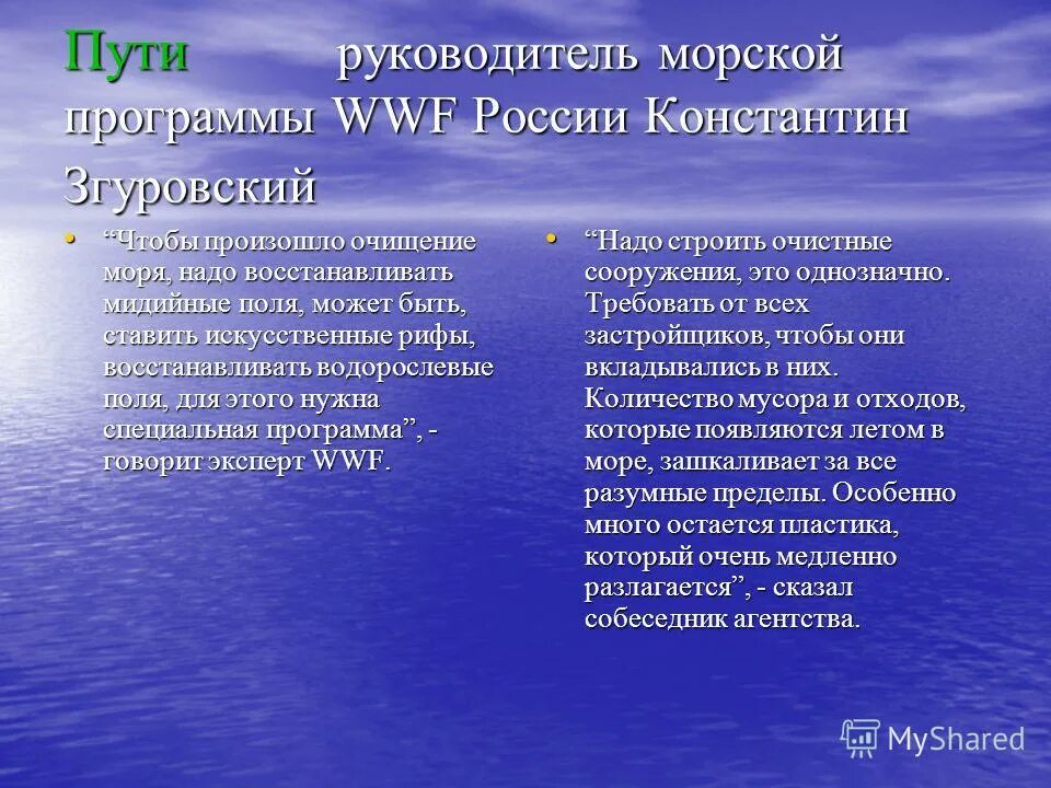 Программа морская. Пути решения загрязнения черного моря. морская программа. участники правовых отношений. пути решения экологических проблем черного моря.