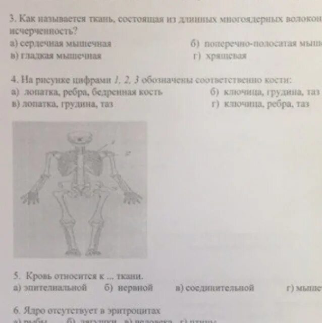 На рисунке 1 2 3 обозначены соответственно. На рисунке цифрами 1 2 3 обозначены соответственно кости. цифрой 2 обозначена на рисунке кость ..... на рисунке цифрой 3 обозначена кость. на рисунке рисунке цифрами 1 2 3 обозначены соответственно кости.