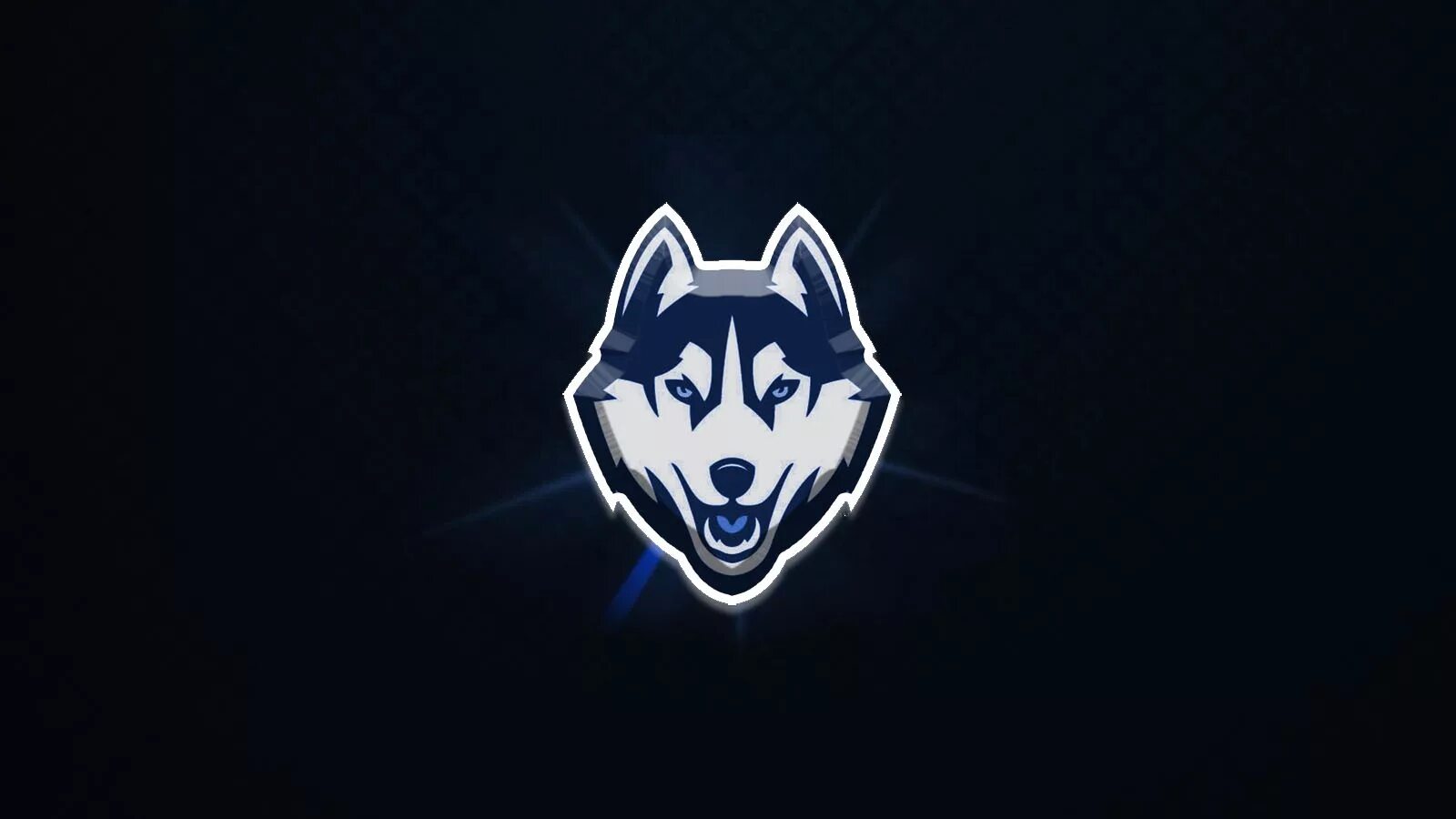 Wolf gaming wallpapers. Alliance Flag Black Wolves.