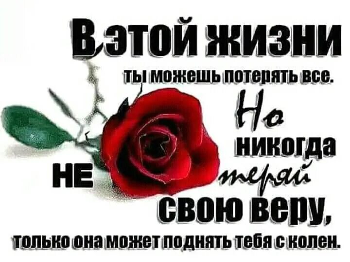 Не теряя надежды усовестить изменников. Никогда не теряй веру в себя. Не теряйте надежду цитаты. Афоризмы про надежду и веру.