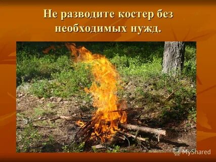 Костры на берегу не разжигать
