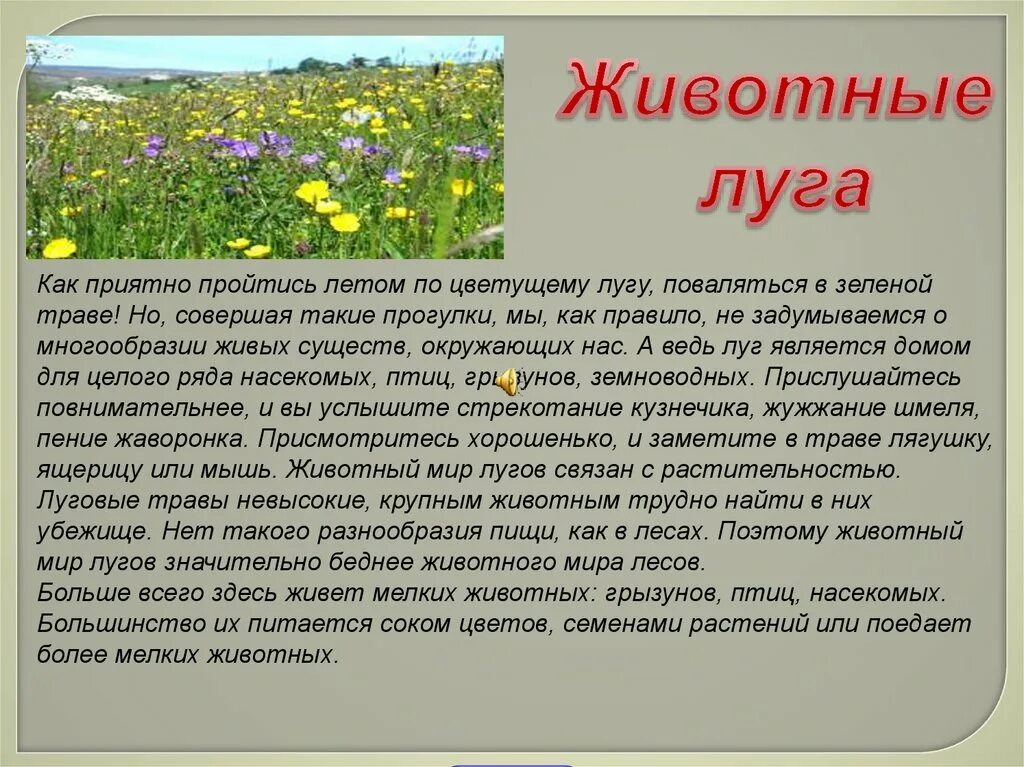 Доклад "обитатель Луга". Доклад про луг 4 класс окружающий мир. Доклад на тему обитатели Луга. Проект про луг.