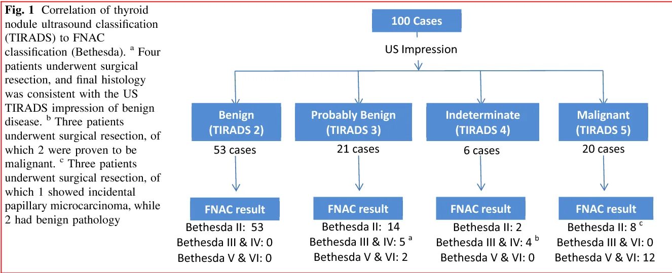 Eu tirads. Bethesda классификация. Eu Tirads классификация. Bethesda Thyroid classification категории. Бетесда классификация щитовидной железы.