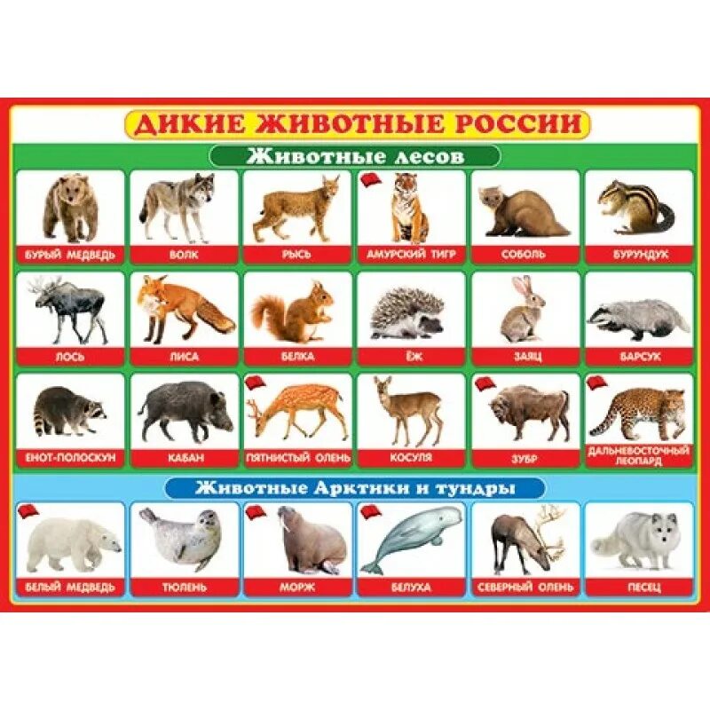 Перечень диких животных