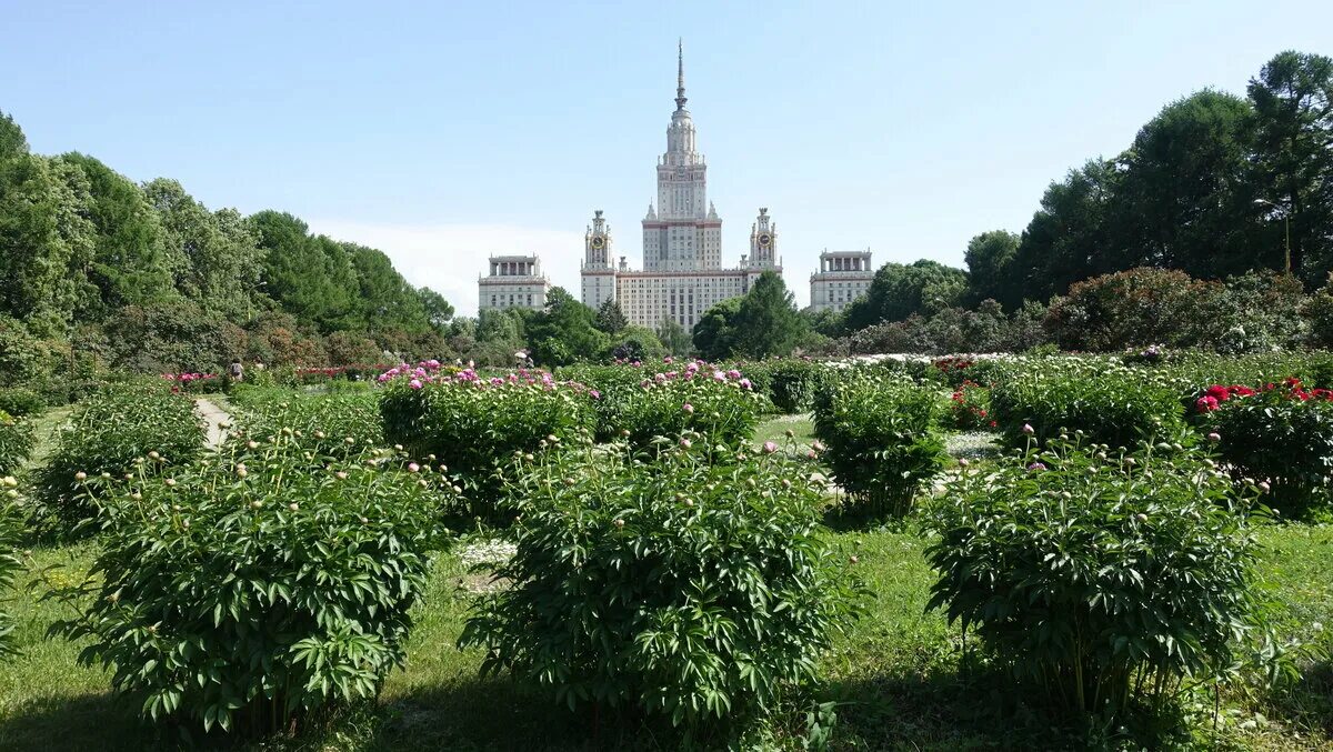 Сад биологического факультета мгу. Ботанический сад МГУ на Воробьёвых горах. Московский ботсад МГУ Воробьевы горы. Ботанический сад биологического факультета МГУ им. м. в. Ломоносова. Ботанический сад МГУ на Ленинских горах.