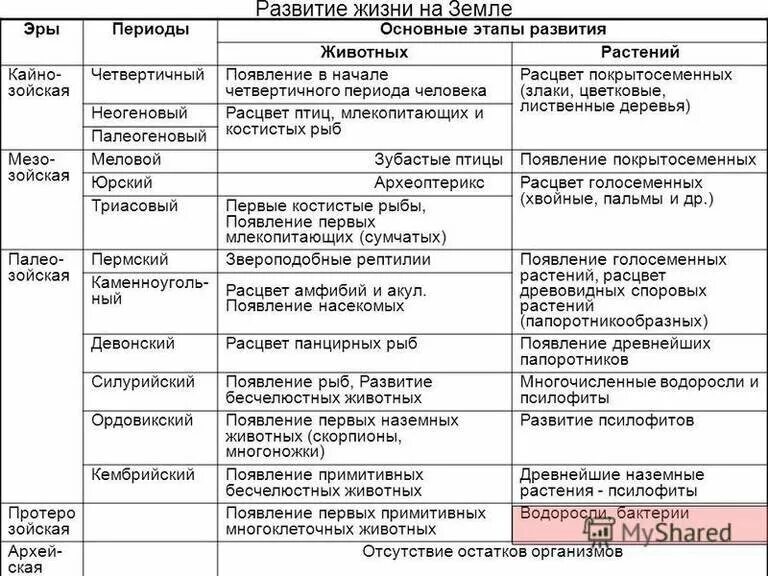 Периоды развития жизни на земле таблица биология. Таблица по биологии по развитию жизни на земле. Таблица этапы развития жизни на земле биология. Этапы развития жизни на земле таблица 9 класс биология эры.