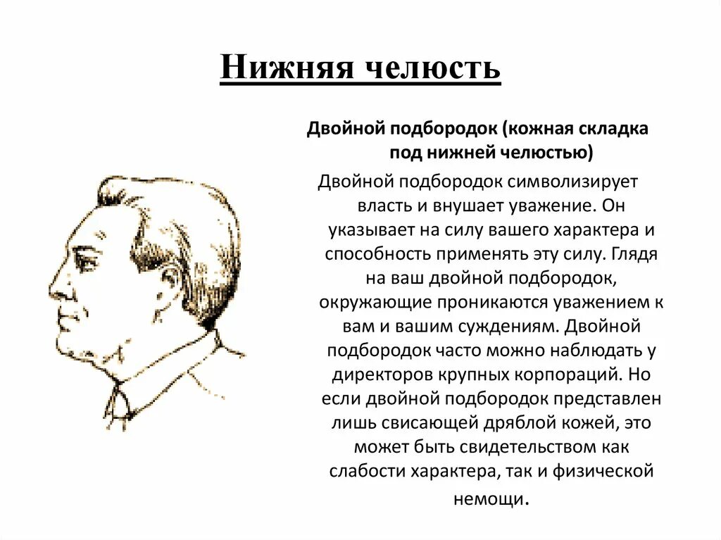 Мужчин характер подбородок. Физиогномика подбородок. Подбородок вперед физиогномика. Физиогномика челюсть. Физиогномика по подбородку.