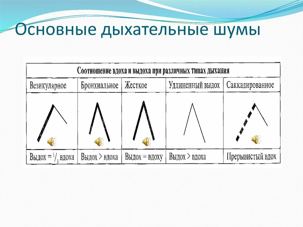 Бронхиальное дыхание соотношение вдоха и выдоха. Соотношение длительности вдоха и выдоха в норме. Соотношение фаз вдоха и выдоха. Основные дыхательные шумы схема. Шум на вдохе