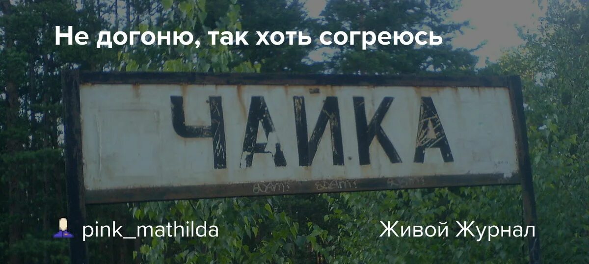 Не догнал юг. Не догоню так хоть согреюсь. Не догоню так согреюсь анекдот. Не догоню так согреюсь картинки. Не догоню - хоть погреюсь картинки.