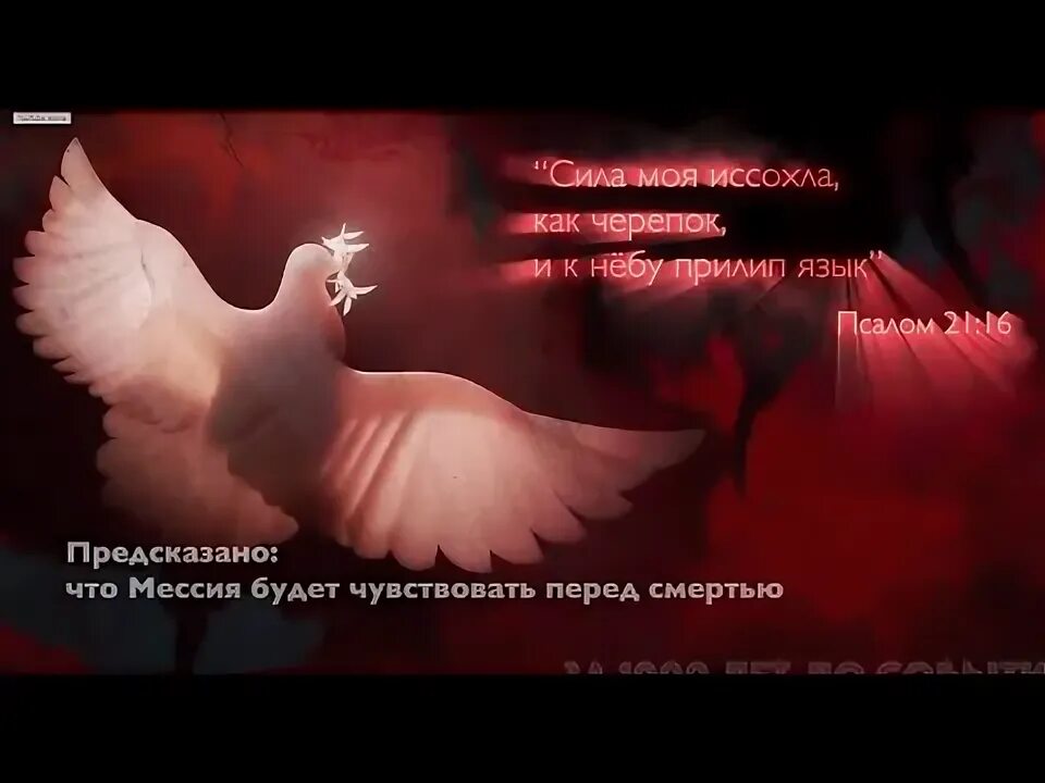 Пророчества о мессии. Пророчества о мессии