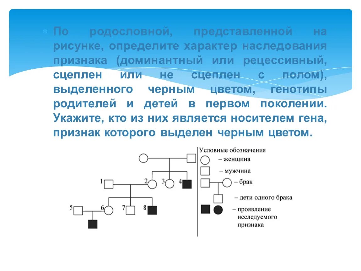 Доминантные наследственные признаки. X-сцепленный Тип наследования 5. y-сцепленный Тип наследования. Х доминантный Тип наследования х рецессивный сцепленный. Х рецессивный Тип наследования родословная 5 поколений. Представлена родословная аутосомно-рецессивный Тип наследования.