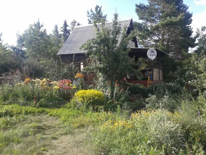 Металлургов 3 сады