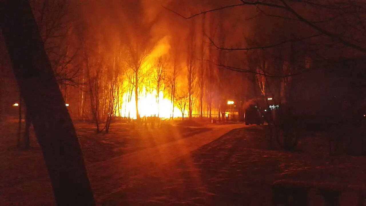 Сгорел парк. Пожар в парке Митино. Пожар в Измайлово сегодня. Пожар в Митинском парке. Измайловский парк пожар.