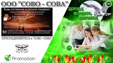Сова сова продукция каталог