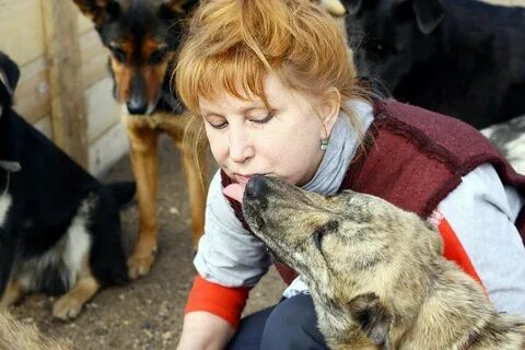 Приют остров надежды