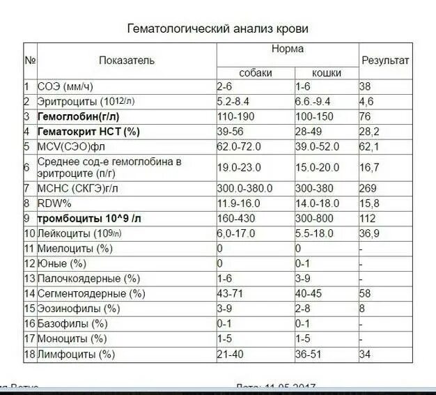 Mcv норма у мужчин. Средний объем эритроцитов (фл или мкм3). Mcv mch анализ крови норма. Mcv норма у мужчин. Mcv mch анализ крови норма.