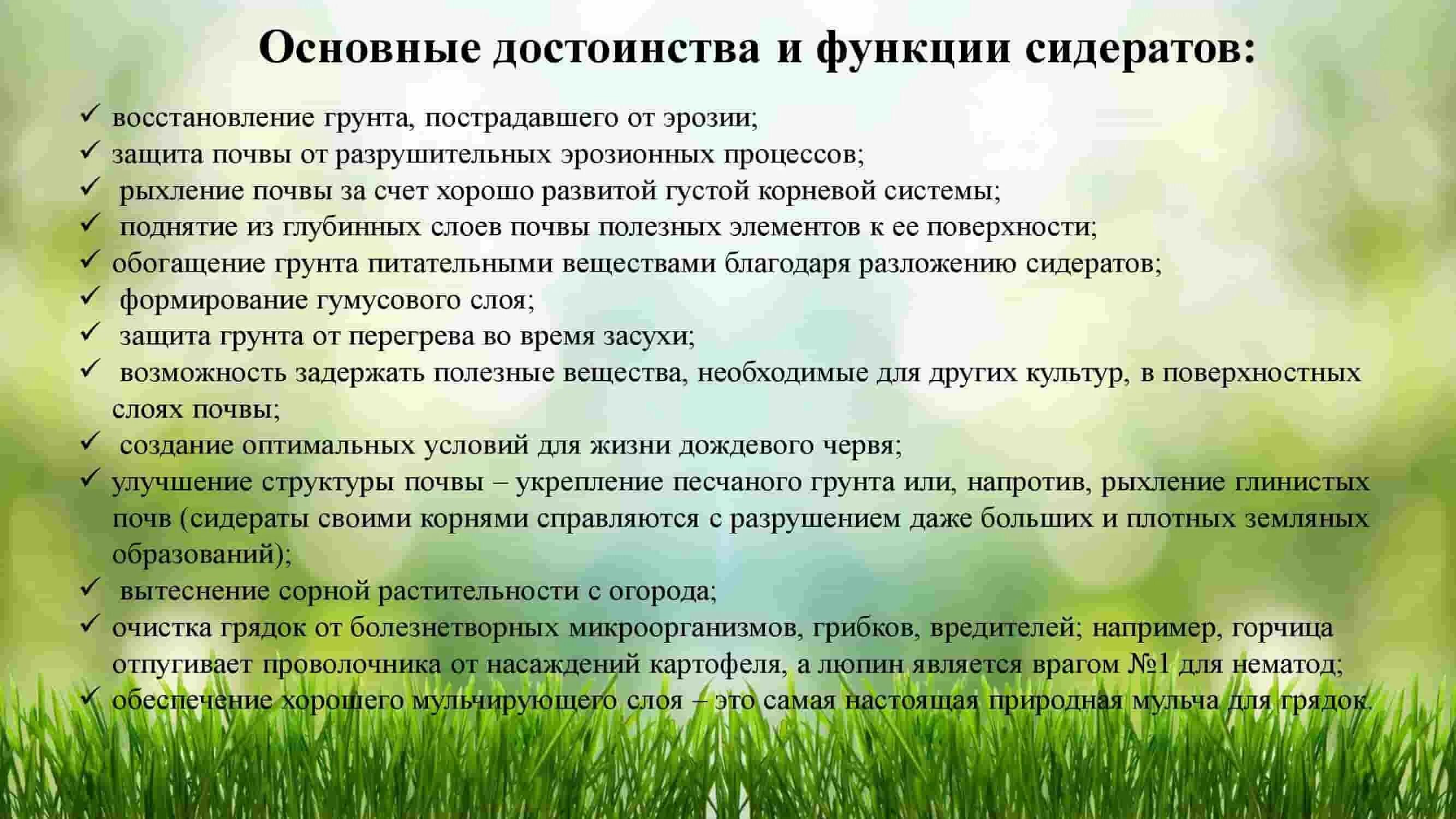 Почему использование сидератов лучше химических удобрений