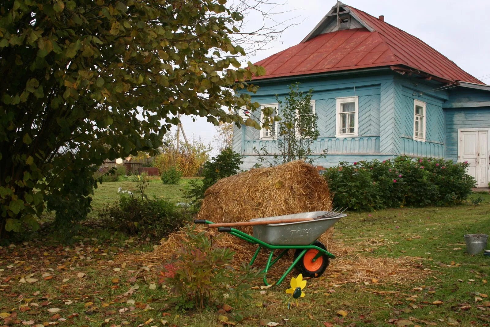 Огород в деревне. Огород в селе. Дом в деревне с огородом. Огород в деревне осенью.