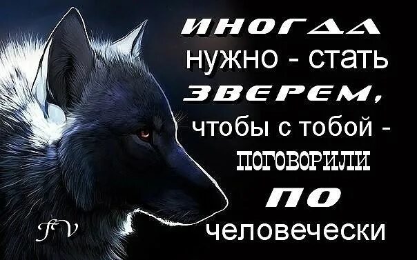 Иногда нужно стать. Иногда нужно стать зверем. Иногда нужно стать зверем чтобы с тобой. Арсена волчица. Иногда надо стать зверем чтобы с тобой поговорили по-человечески.