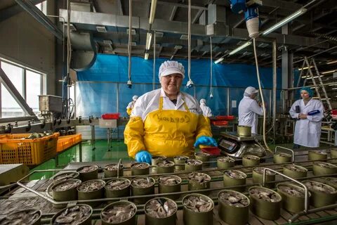 Рыбзавод