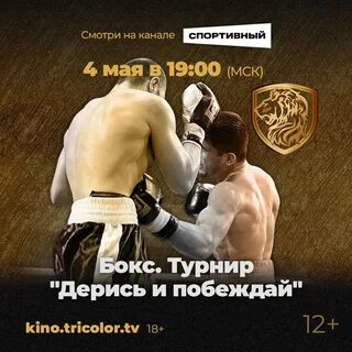 Дерись и побеждай