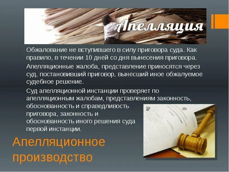 Судебному обжалованию подлежат. Обжалование не вступившего в силу. Особенности апелляционного приговора. Решение окончательное и обжалованию не подлежит.