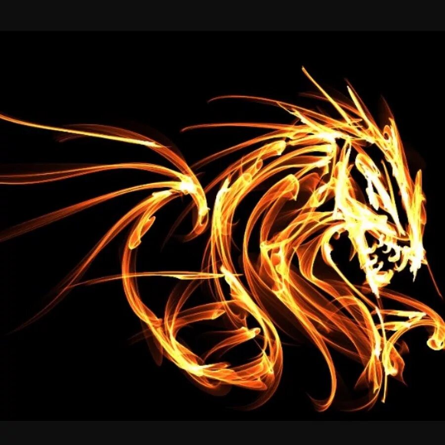 Драгон фаер. Огненный дракон. Дракон в огне. Пламя дракона. Дракон темного пламени