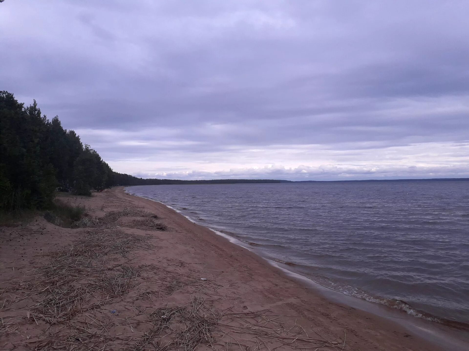 Сямозеро (деревня). Сямозеро карелия. Лососинское озеро петрозаводск. Приозерск ладожское озеро. Сямозеро участки.