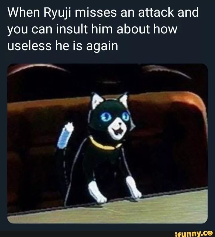 Insult him. Morgana persona 5 memes. Persona 5 Morgana meme. Persona meme. Persona 5 Cat meme Art.