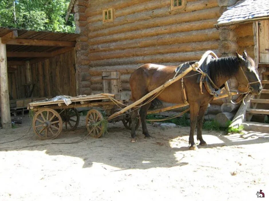 Телега брыку. Повозка с лошадью. Телега с лошадью. Лошадь запряженная в телегу. Древняя телега с лошадью.