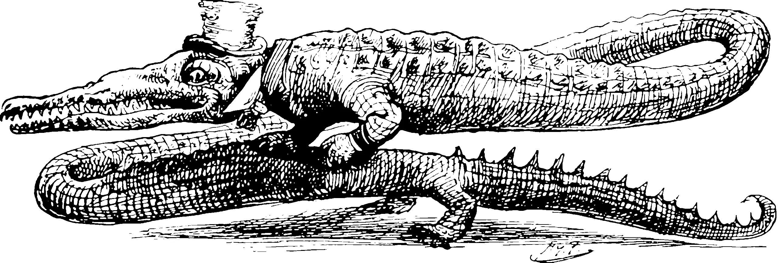 Прудовая лягушка метаморфоз. Эволюция ящериц. Сибилла мериан художница. Жизненный цикл крокодила схема. Развитие ящериц картинки.