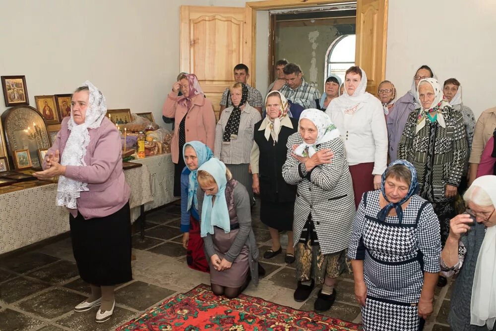 Якупов павло куракино. Погода на 10 дней куракино. Погода на 10 дней куракино. Школа павло куракино пензенская область. Погода на 10 дней куракино.