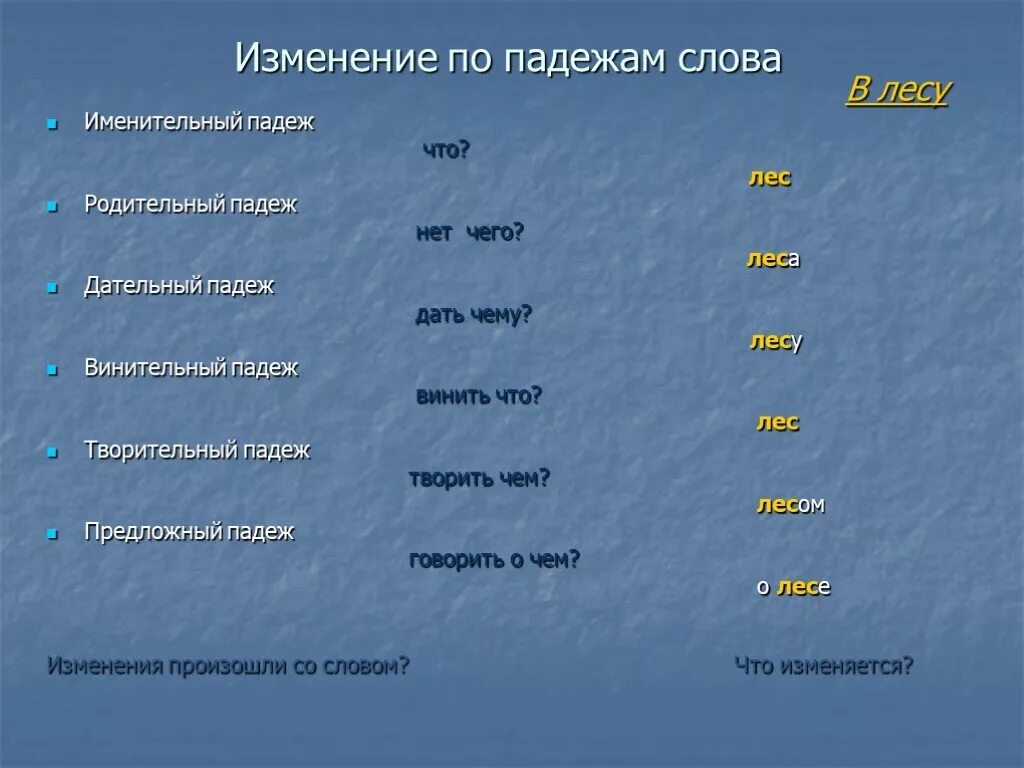 Какая часть речи слово ельник. Падеж слова лес. Падеж слова лесах. Изменение слова по падежам. Изменить по падежам.