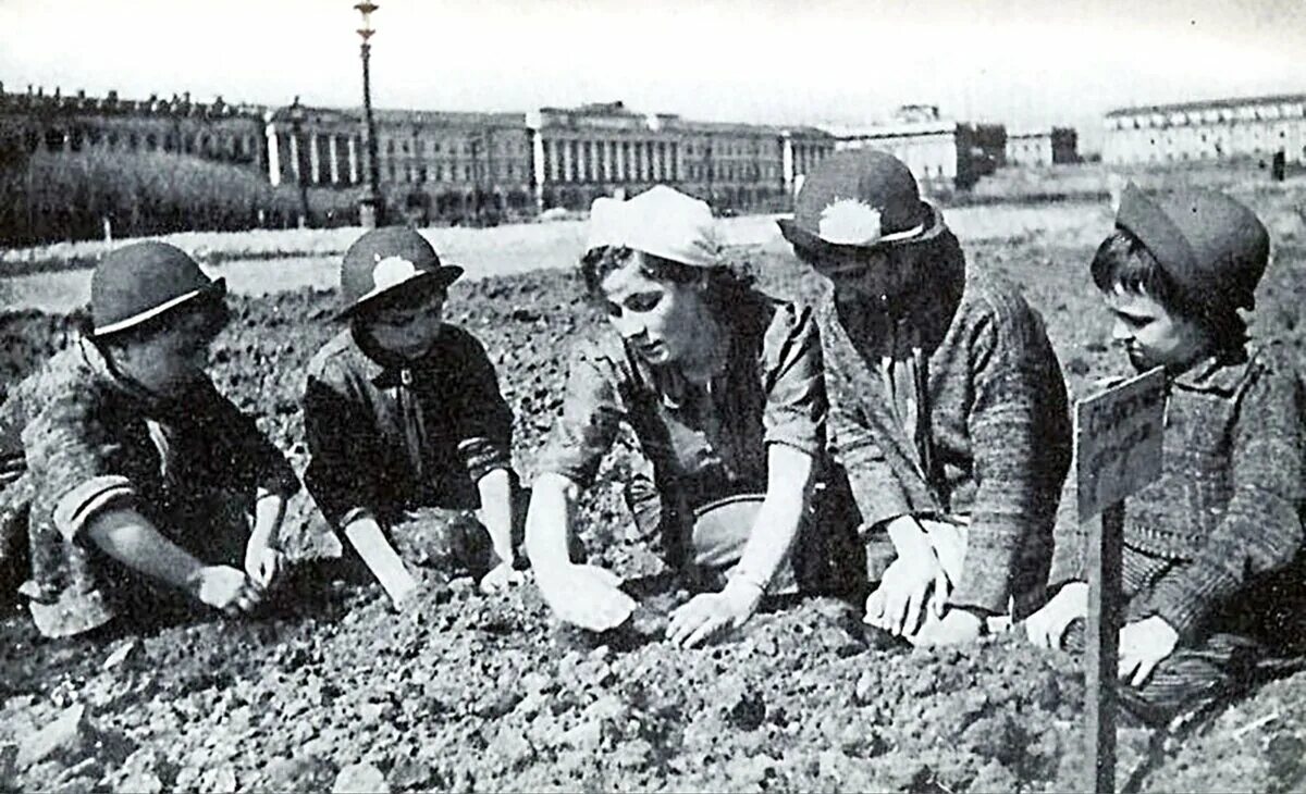 Огороды в блокадном ленинграде. Оборонительные сооружения ленинграда 1941. Марсово поле в блокаду ленинграда. Блокада ленинграда капуста у исаакиевского собора. Огород у исаакиевского собора блокада ленинграда.