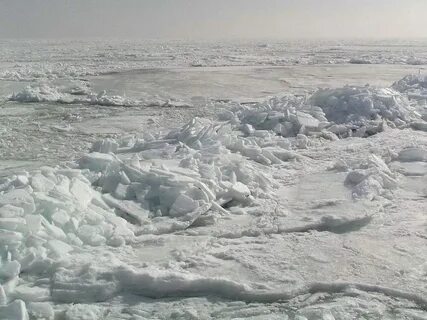 Какое море нашей страны не замерзает