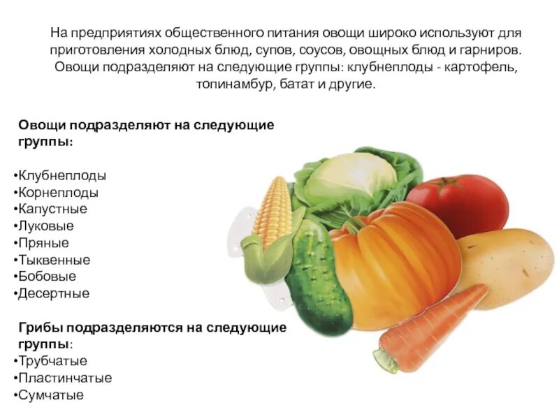 Роль овощей в питании человека. Технология приготовления блюд из овощей. Значение блюд из овощей в питании человека. Овощи корнеплоды и клубнеплоды. Значение овощей в питании