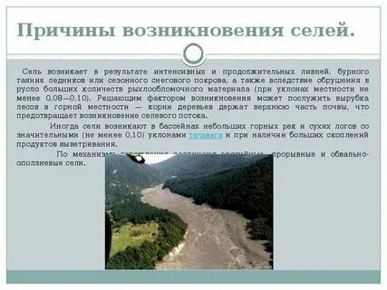 Где чаще всего сели
