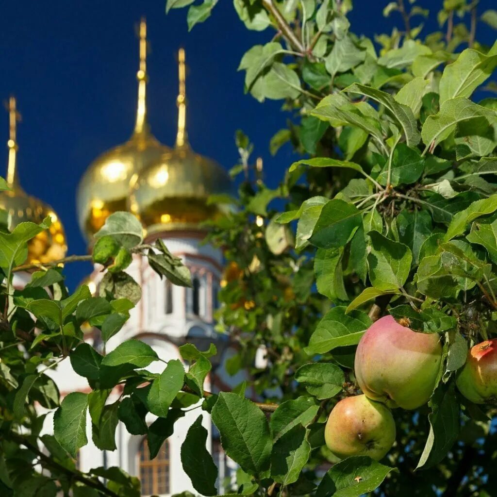 Преображение Господне Киево Печерская Лавра виноград яблоки. Август Преображение Господне. Яблоки в храме. Храм в яблонях.