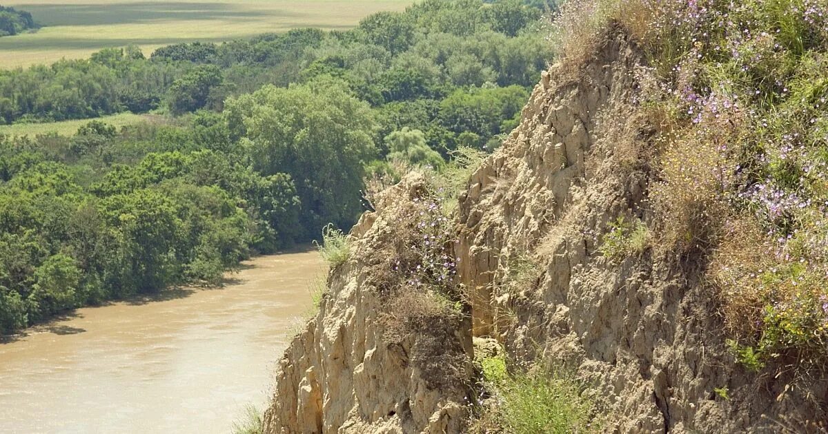 Станица Казанская Краснодарский край кавказский район. Станица Кавказская река Кубань. Река Кубань станица Темижбекская. Станица Казанская Краснодарский край достопримечательности.