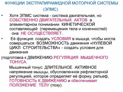 Моторная система