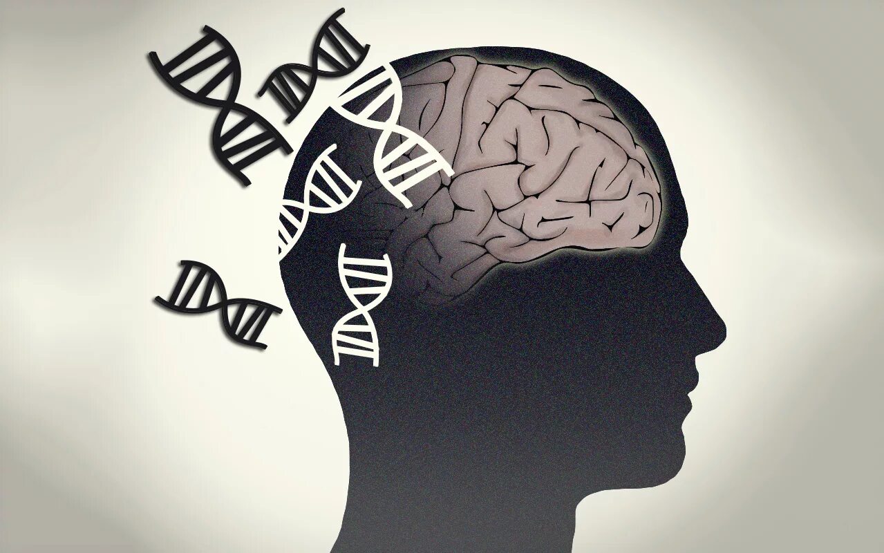 Мозг память. Мозг ДНК. Психологические иллюстрации. Психология картинки. Память тревоги