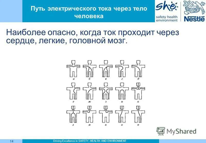 Путь тока являющийся наиболее опасным. Путь тока являющийся наиболее опасным