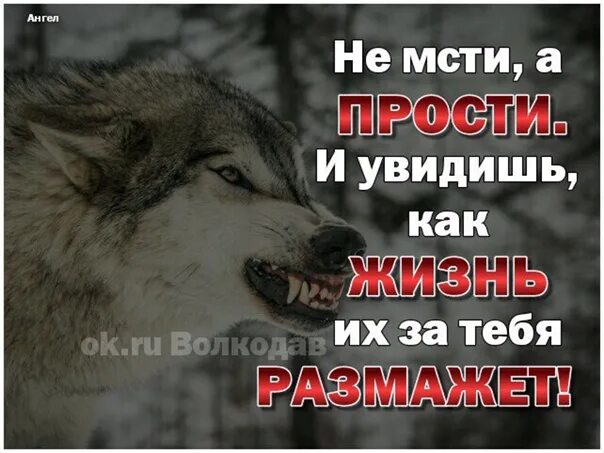 Мстить ли людям. Не мсти а прости и увидишь как. Не мсти а прости и увидишь как жизнь их за тебя размажет. Прости о Господи ты людям их жестокость. Не спеши мстить.